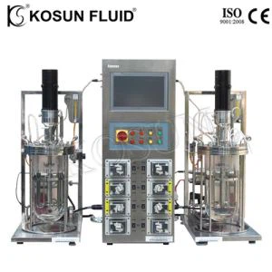 Fermentador de vidrio