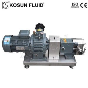 Bomba de lóbulo rotatorio